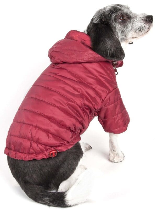 Sporty Avalanche Pet Coat X-Small