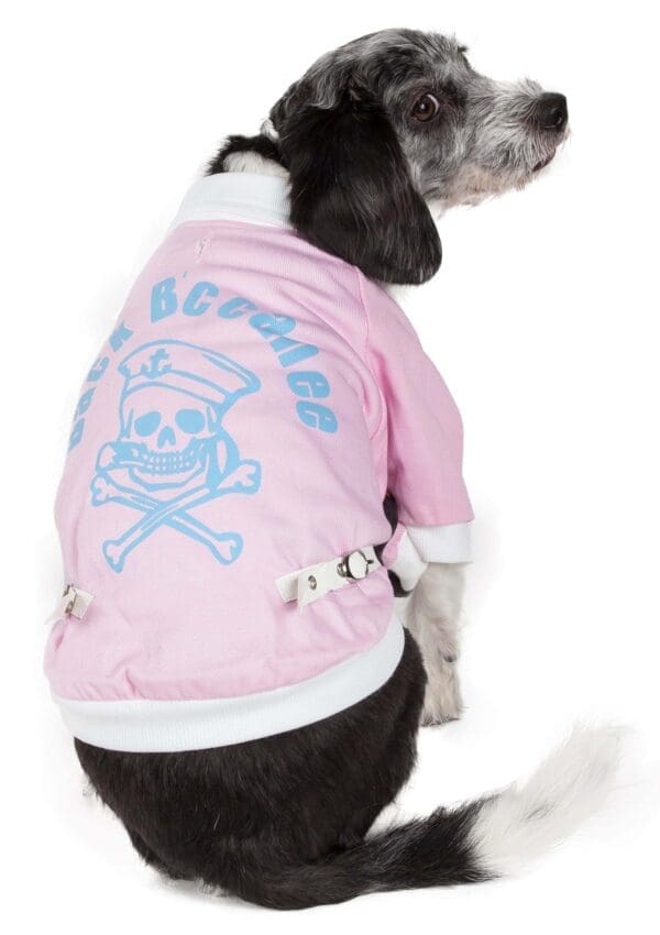 Varsity-Buckled Collared Pet Coat X-Small