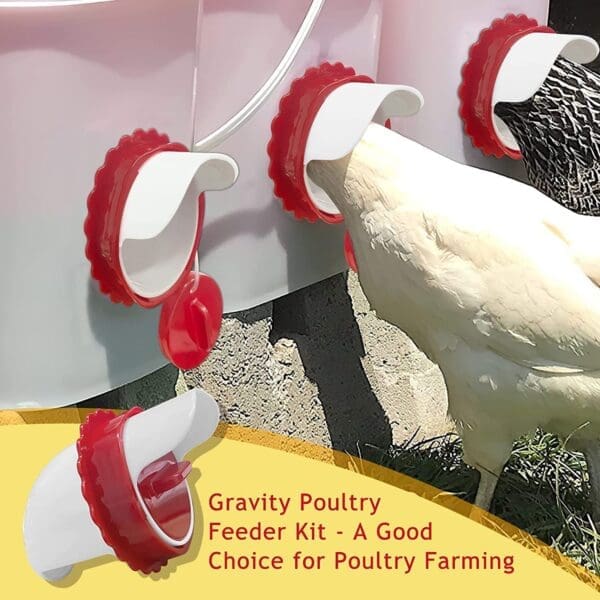 Chicken Feeder with Bucket