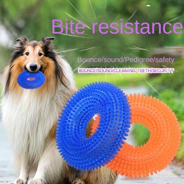 2pcs Bite Resistant Sound Making Dog Toy Ball Blue Purple Green Large Small