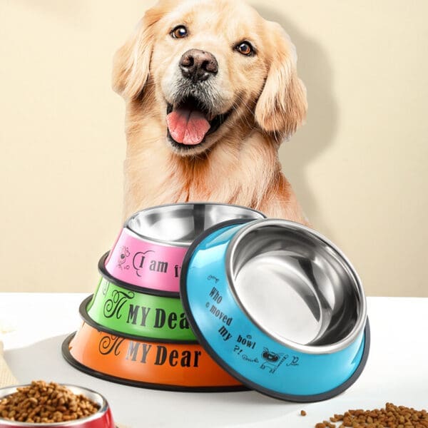 Stainless Steel Anti-Skid Dog Bowl Various Sizes and Designs - Image 8