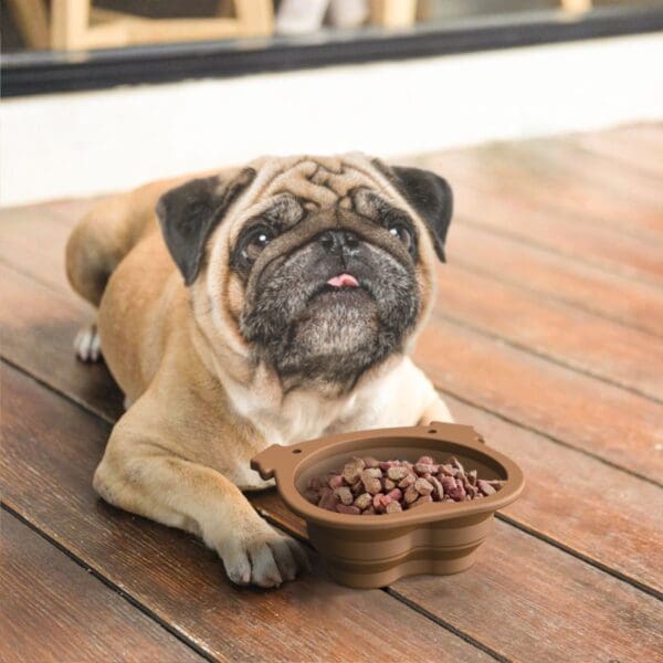 Silicone Folding Dog Food Bowl