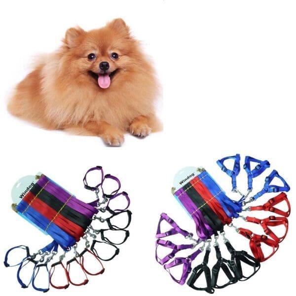 Adjustable Nylon Dog Leash and Harness Set