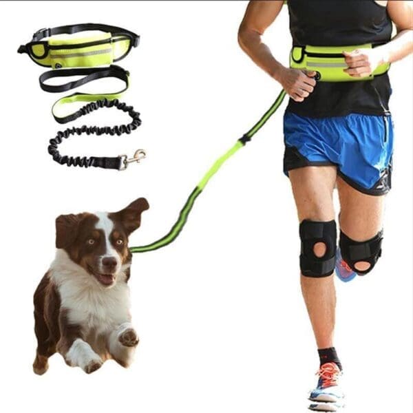 Reflective Pet Leash Elastic Hand Free Jogging Green Orange Black - Green