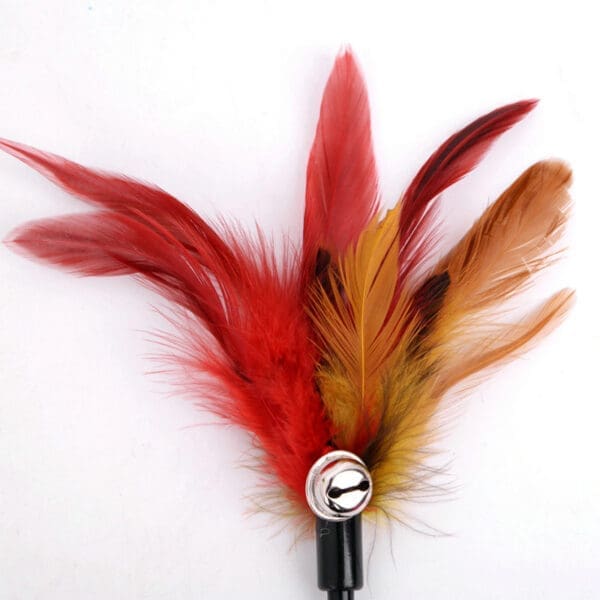 Cat Wand Stick Toy Feather