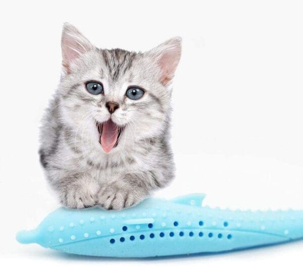 Fish Shape Silicone Cat Toothbrush with Catnip blue white pink - BLUE