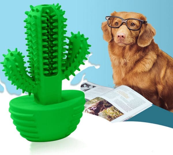 Cactus Shape Dog Toothbrush Stick Green