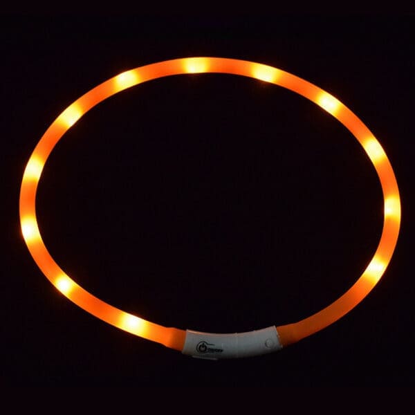 LED Pet Collar USB Rechargeable Various Colors One-Size - Image 8