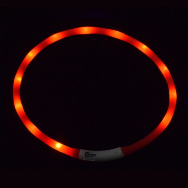 LED Pet Collar USB Rechargeable Various Colors One-Size - Red One-size