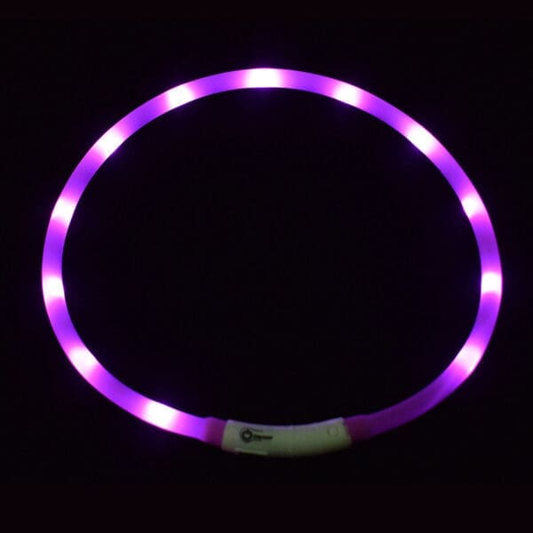 LED Pet Collar USB Rechargeable Various Colors One-Size - Violets One-size