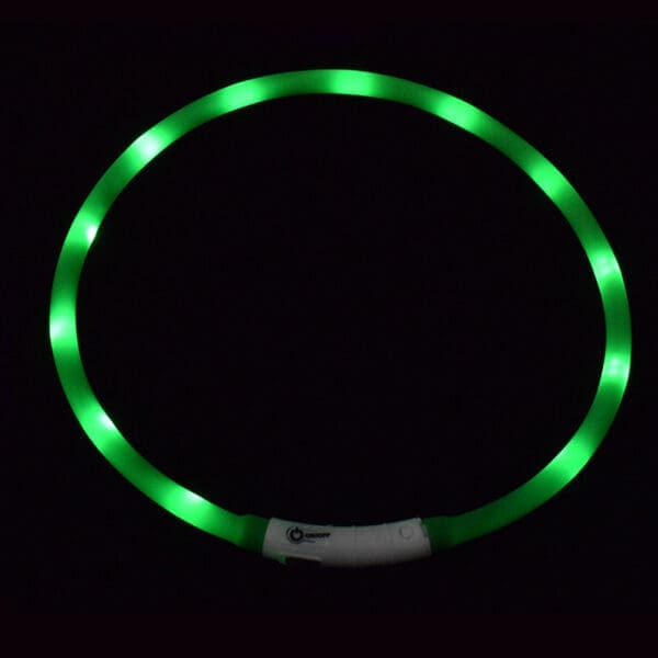 LED Pet Collar USB Rechargeable Various Colors One-Size - Light Green One-size