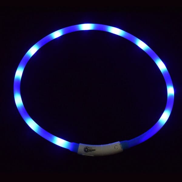 LED Pet Collar USB Rechargeable Various Colors One-Size - BLUE One-size