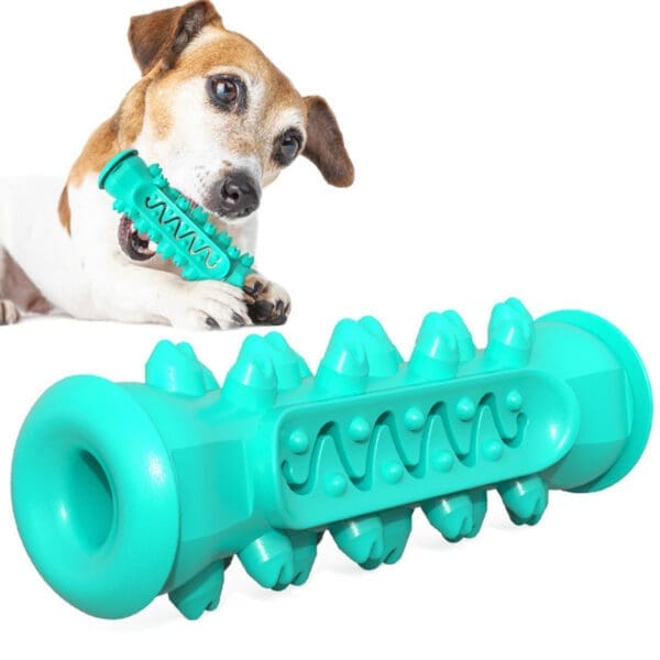 Bite Resistant Dog Chew Toys Basic and Upgrade Versions Green Blue - Basic Blue C