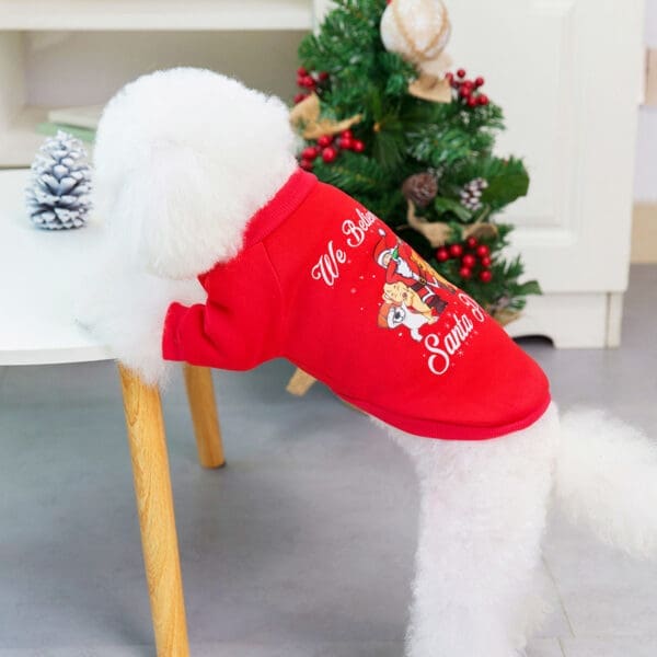 Christmas Pet Hoodie with Santa Pattern Emerald Green Red  XL XXL - Red XL