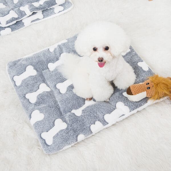 Double-sided Pet Bed Mat Various Sizes - M