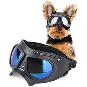 Small Breed Dog Glasses Black with Silver-Blue Lens - Black with Silver lens