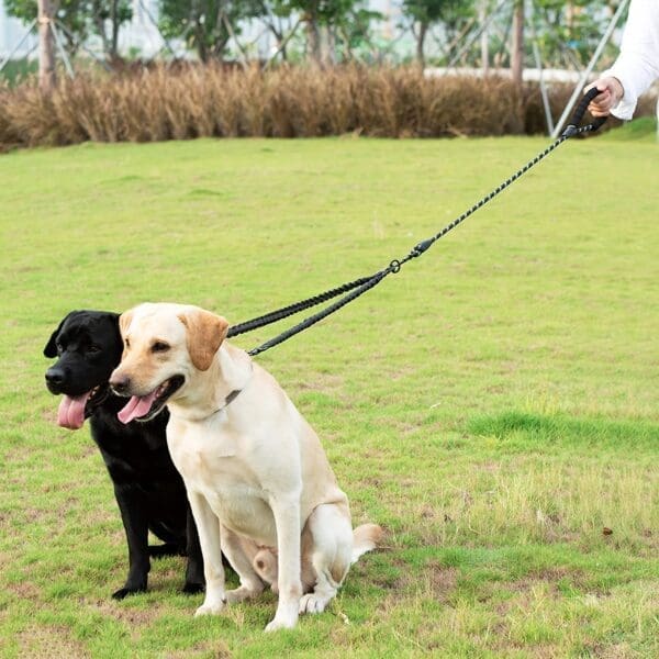 Dual Dog Leash with Reflective Stitching Black Red One-Size