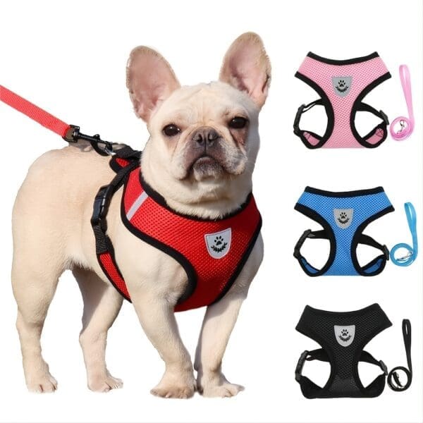 Reflective Pet Harness and Leash Set Black Red Blue Pink - Red M