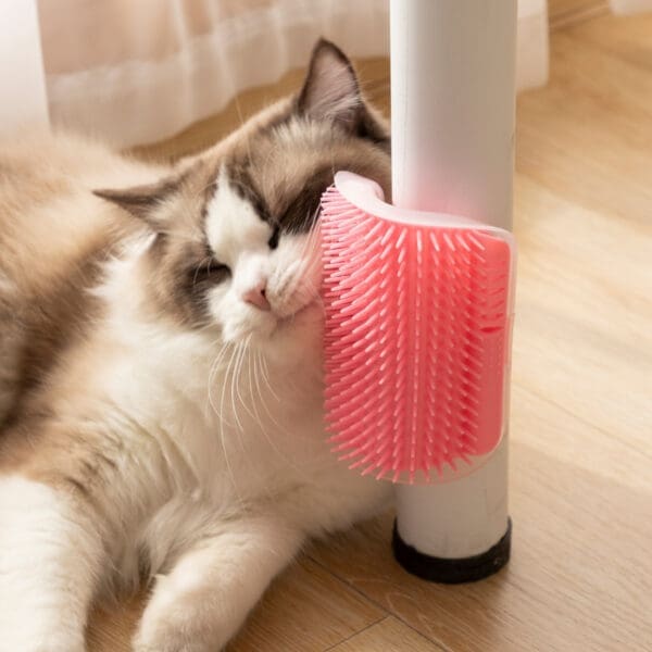 Cat Wall Massage Hair Brush Grey Blue Pink - BLUE