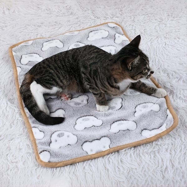 Cartoon Paw Print Warming Pet Pad L M S - M