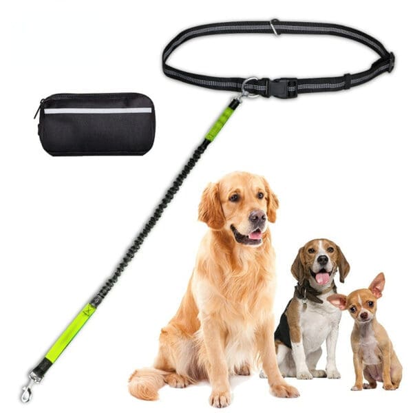 Hands-Free Dog Leash with Zipper Pouch Various Colors 2.5122CM