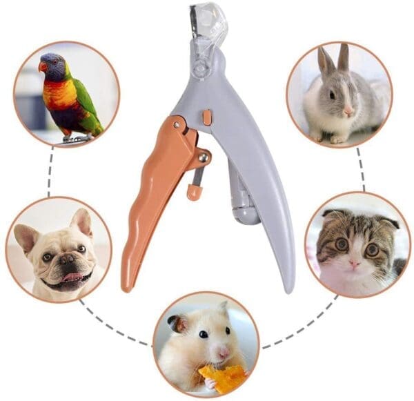 Suction Clamp LED Light Pet Nail Clipper