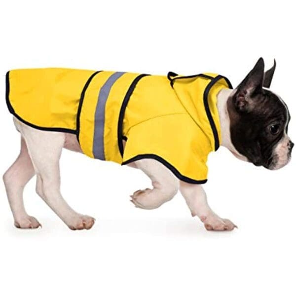 Reflective Dog Raincoat Waterproof Various Colors  XL - clear Medium