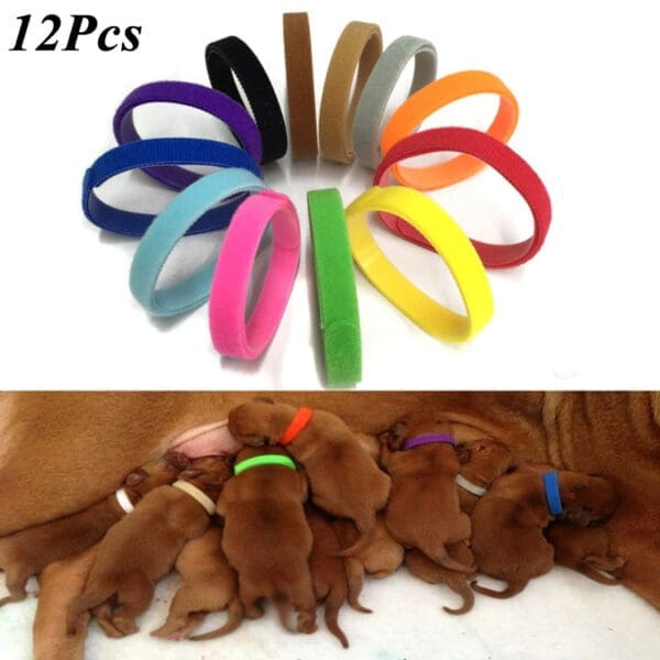 Puppy Newborn Identify Collars 12pcs XL XXL L S M - 12pcs S