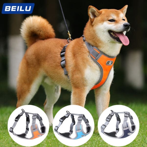 Breathable Big Dog Chest Strap Vest Light Blue Dark Blue Orange  XL