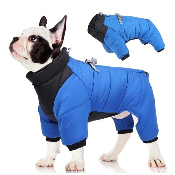 Waterproof Warm Dog Jacket Yellow Grey Orange-Red Blue  XL XXL 3XL - BLUE M