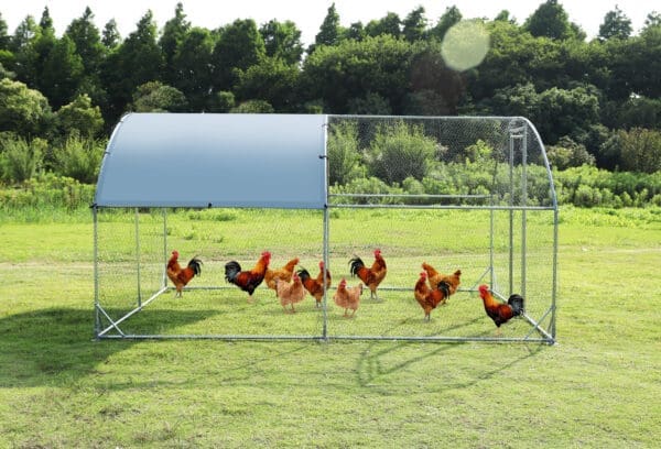 Large Metal Chicken Coop Silver