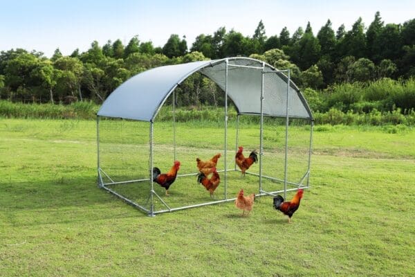 Large Metal Chicken Coop Silver