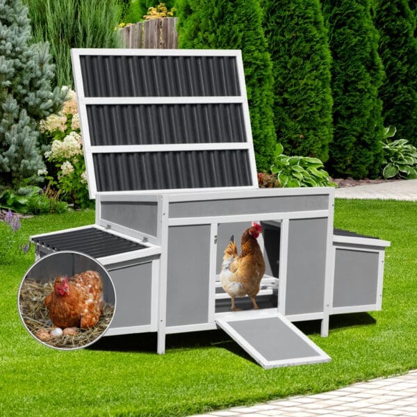 Weatherproof Wood Chicken Coop Gray