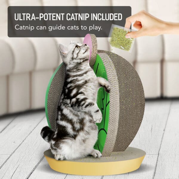 Cat Condo Scratcher Post Cardboard Cactus Shape