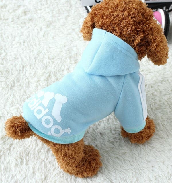 Two Legged Warm Cotton Dog Hoodie Various Colors 9XL S M 8XL L XL 4XL - Light Blue M