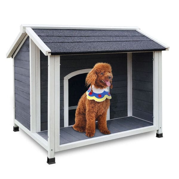 Outdoor Wooden Dog House