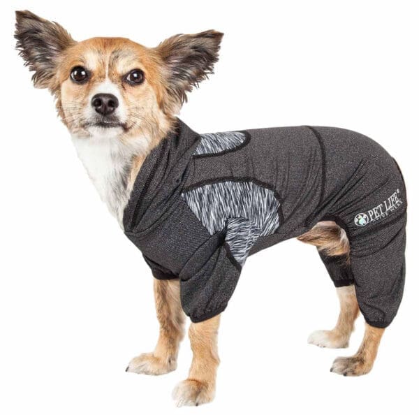 Pet Life Active Pawsterity Stretch Hoodie Pink Blue Black Orange X-Small X-Large Small Medium Large - Black X-Small