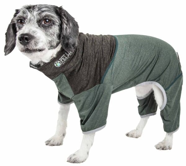 Pet Life Active Embarker Full Body Warm Up Brown Black Blue Teal Green Large Medium X-Small X-Large Small - Green X-Small