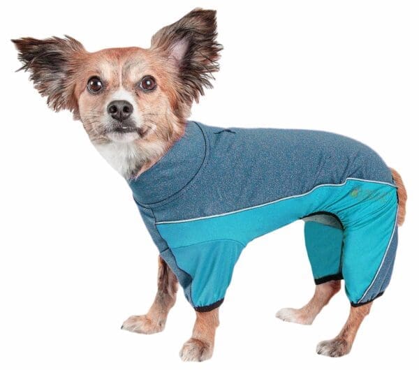 Pet Life Active Chase Pacer Performance Full Body Warm Up Blue Black Brown Purple X-Small Medium Small X-Large Large - BLUE X-Large