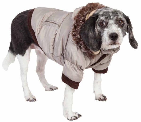 Metallic Fashion Pet Parka Coat X-Large Large Medium Small X-Small - X-Small