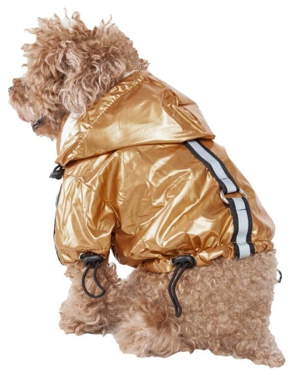 Reflecta-Sport Reflective Pet Rainbreaker Jacket Small X-Small Large Medium - X-Small