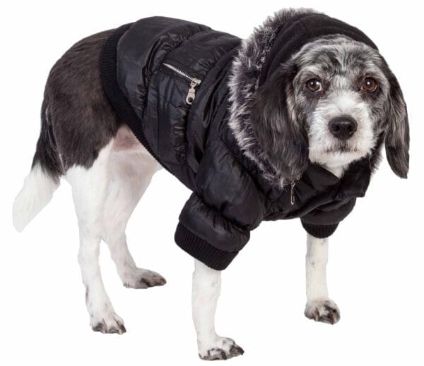 Metallic Fashion Pet Parka Coat Large Medium Small X-Small X-Large - Medium