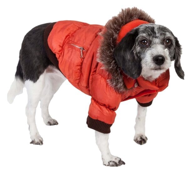 Metallic Fashion Pet Parka Coat Small X-Small Medium - Medium