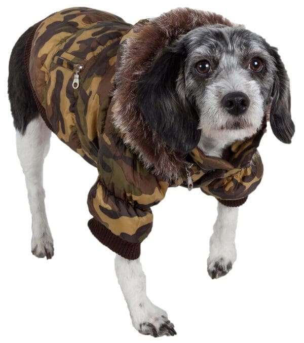 Metallic Fashion Pet Parka Coat Small X-Small X-Large Large Medium - X-Small