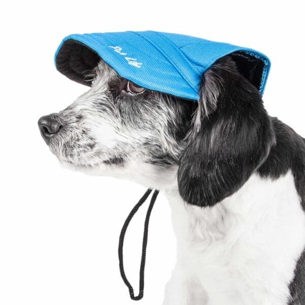 Pet Life Cap-Tivating UV Protectant Dog Hat Black Red Blue Black Faded Orange Large Medium - BLUE Medium