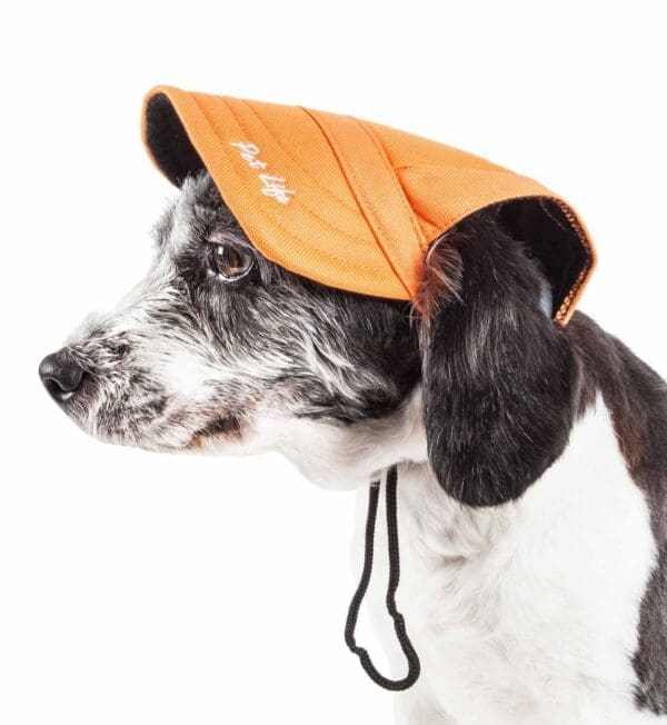 Pet Life Cap-Tivating UV Protectant Dog Hat Black Red Blue Black Faded Orange Large Medium - Orange Medium