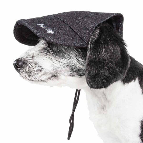 Pet Life Cap-Tivating UV Protectant Dog Hat Black Red Blue Black Faded Orange Large Medium - Black Faded Large