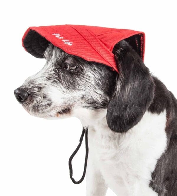 Pet Life Cap-Tivating UV Protectant Dog Hat Black Red Blue Black Faded Orange Large Medium - Red Medium