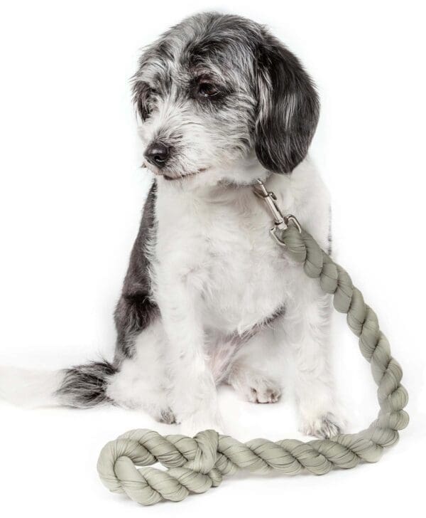 Pet Life Tough-Tugger Industrial-Strength Woven Dog Leash Navy Pink Olive - Olive