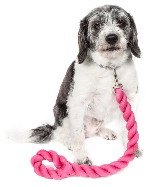 Pet Life Tough-Tugger Industrial-Strength Woven Dog Leash Navy Pink Olive - Pink